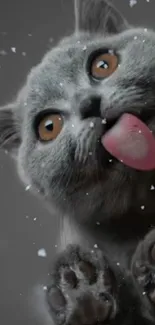 Playful grey cat with pink tongue catching snowflakes.