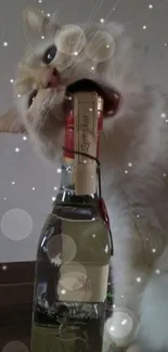 A cute cat humorously biting a wine bottle cap, creating a playful moment.