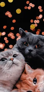 Three cats with bokeh light background in mobile wallpaper.