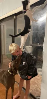 Child with dog and climbing cat in playful scene.