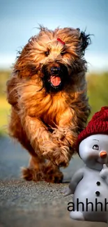 A fluffy dog running next to a playful snowman in a red hat.