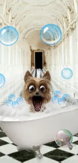 Playful dog in a bubble bath within an elegant hallway setting.