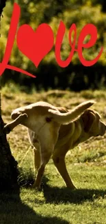 Dog under a tree with red love text in a green nature setting.