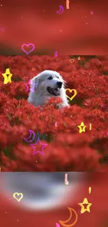 Happy dog in red flower field with star and heart decorations.