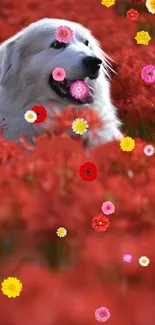 White dog amidst vibrant red flowers with playful blooms scattered around.