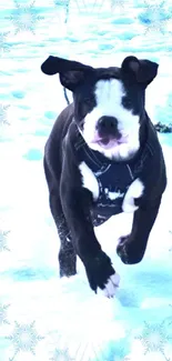 Playful dog bounding through the snowy landscape with icy blue accents.