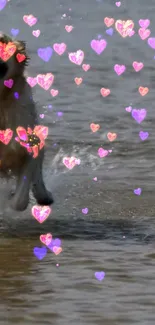 Dog joyfully running with colorful heart effects at the beach.