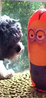 Dog curious about Minion toy on a colorful background.