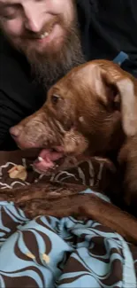 Brown dog playing with owner on cozy blanket.