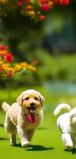 Two happy dogs running in a colorful garden.