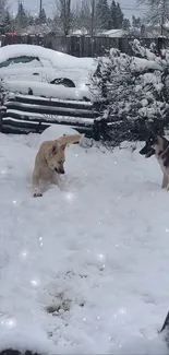 Two playful dogs enjoying a snowy garden during winter.