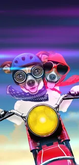 Two cartoon dogs on a motorcycle with a sunset backdrop.