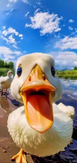 Close-up of a playful duck by a scenic pond with blue sky.