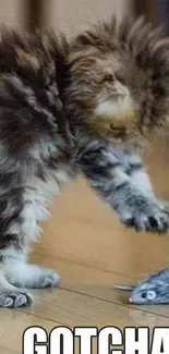 Adorable kitten playing with a toy on wooden floor saying 'Gotcha!'