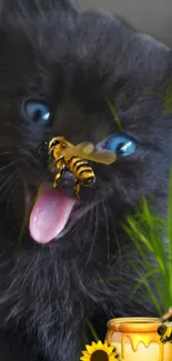 A playful black kitten with a bee on its nose, surrounded by grass.