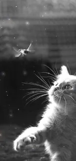 Black and white wallpaper of a kitten playing with a butterfly, capturing whimsy.