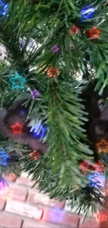 A playful kitten nestled in a Christmas tree with star lights.