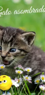 A cute kitten playing in a green meadow filled with daisies.