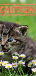 Playful kitten in a meadow with daisies and a red caution stamp.