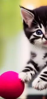 Cute kitten with a pink ball and blue eyes, perfect for mobile.