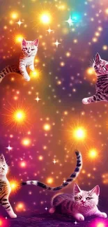 Cats playing among colorful galaxy lights on a vibrant wallpaper.