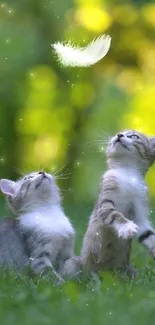 Two kittens play with a feather in lush green nature.