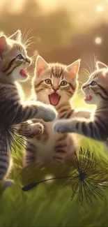 Trio of playful kittens in nature at sunset.