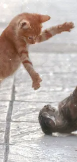 Two kittens playing on a cobblestone street.