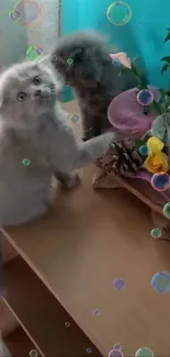 Two fluffy kittens play amidst colorful bubbles on a wooden table.