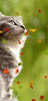 Grey cat in nature with colorful confetti