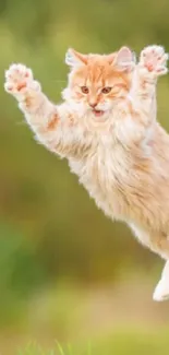 A lively orange cat jumping in a green natural setting, perfect for phone wallpaper.