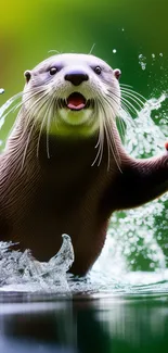 Playful otter splashing in water with a lush green background.