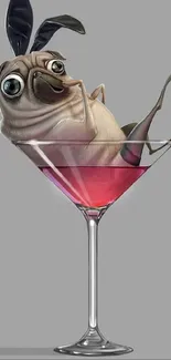 Cute pug relaxing in a martini glass on gray background.