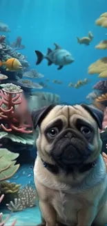 Pug surrounded by corals and fish underwater in vibrant colors.