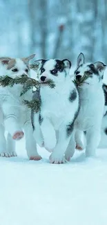 Three playful puppies in a snowy winter landscape.