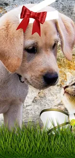 Adorable puppy and curious cat with bows in a grassy garden setting.