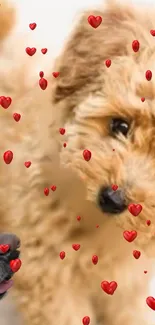 Cute puppy with red hearts wallpaper for mobile.