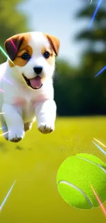 Playful puppy chasing a vibrant tennis ball in a green field.