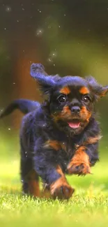 Playful puppy running through a green meadow.