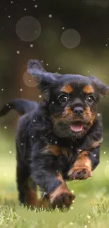 Cute puppy running on grass with blurred sparkles in the background.