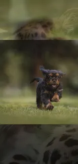 A playful puppy running joyfully in a lush green field.