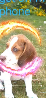 Cute puppy surrounded by colorful fire rings in a grassy yard.