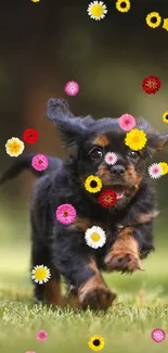 Cute puppy running on vibrant green grass.