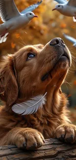 Puppy surrounded by white birds and autumn leaves.