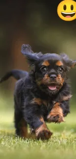 Playful puppy running on grass with a smiley emoji in the sky.