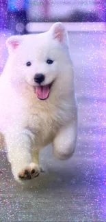 Vibrant wallpaper featuring a white puppy with pink and purple sparkles.