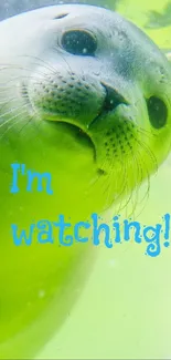 Playful seal underwater with text 'I'm watching!' in blue letters.