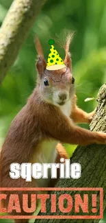 Squirrel with a party hat climbing a tree in a green forest.