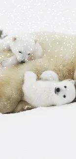 Polar bear family with cubs in snow, serene nature scene.