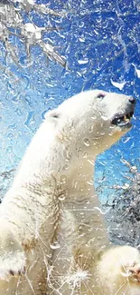 Polar bear in icy landscape with blue sky.